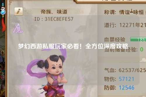 夢幻西游私服玩家必看！全方位深度攻略