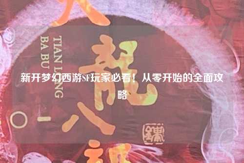 新開(kāi)夢(mèng)幻西游SF玩家必看！從零開(kāi)始的全面攻略