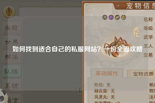 如何找到適合自己的私服網(wǎng)站？一份全面攻略