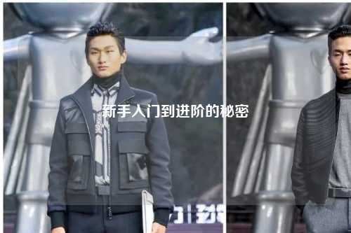 新手入門到進(jìn)階的秘密