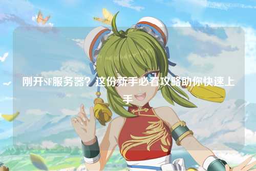 剛開(kāi)SF服務(wù)器？這份新手必看攻略助你快速上手