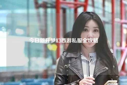 今日新開夢幻西游私服全攻略