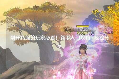 剛開私服的玩家必看！新手入門攻略+經(jīng)驗(yàn)分享