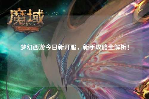 夢幻西游今日新開服，新手攻略全解析！